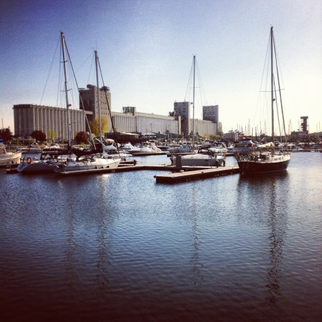 Le Bassin Louise et la Bunge tôt le matin