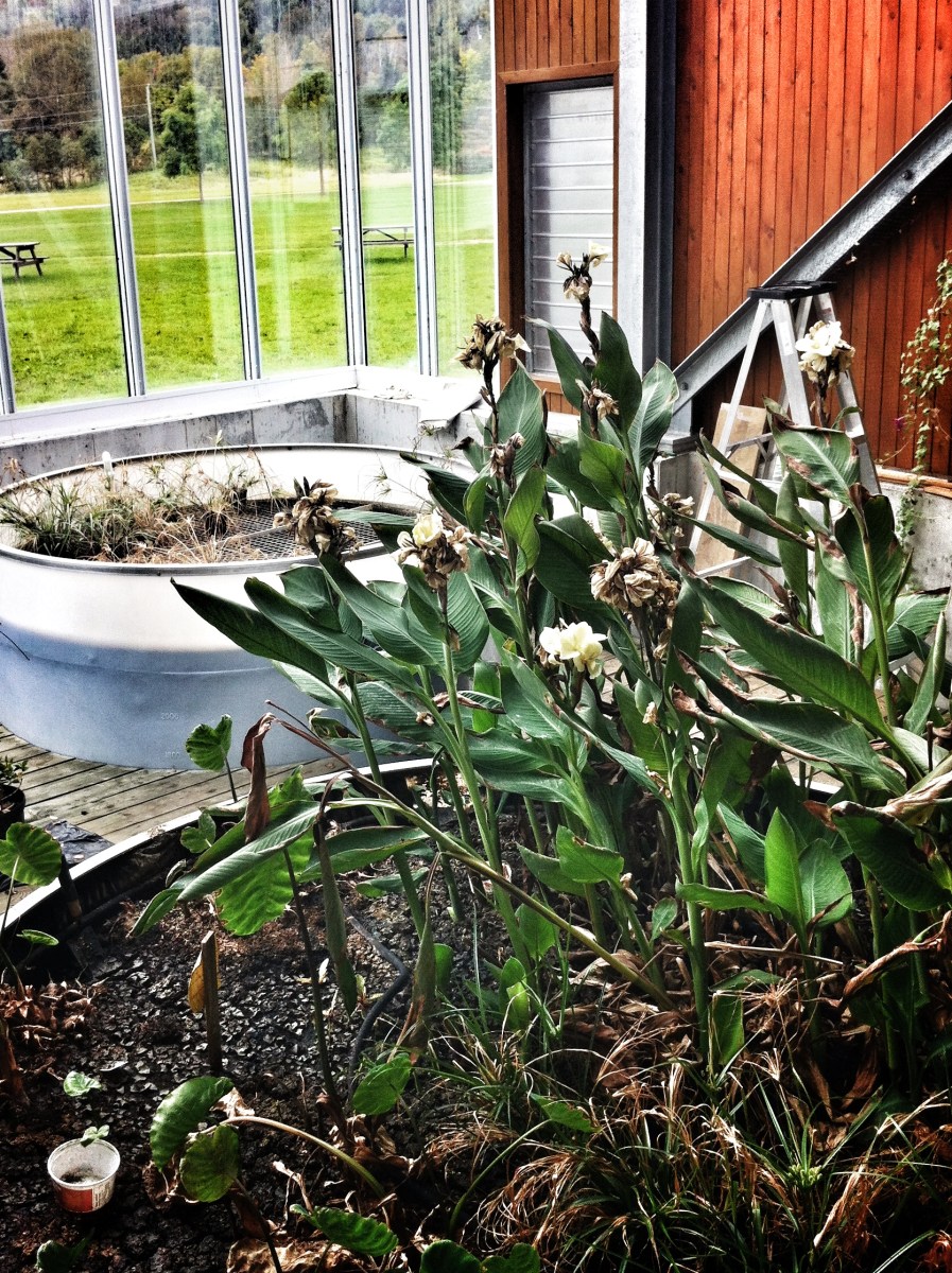 Une partie du système de filtration des eaux