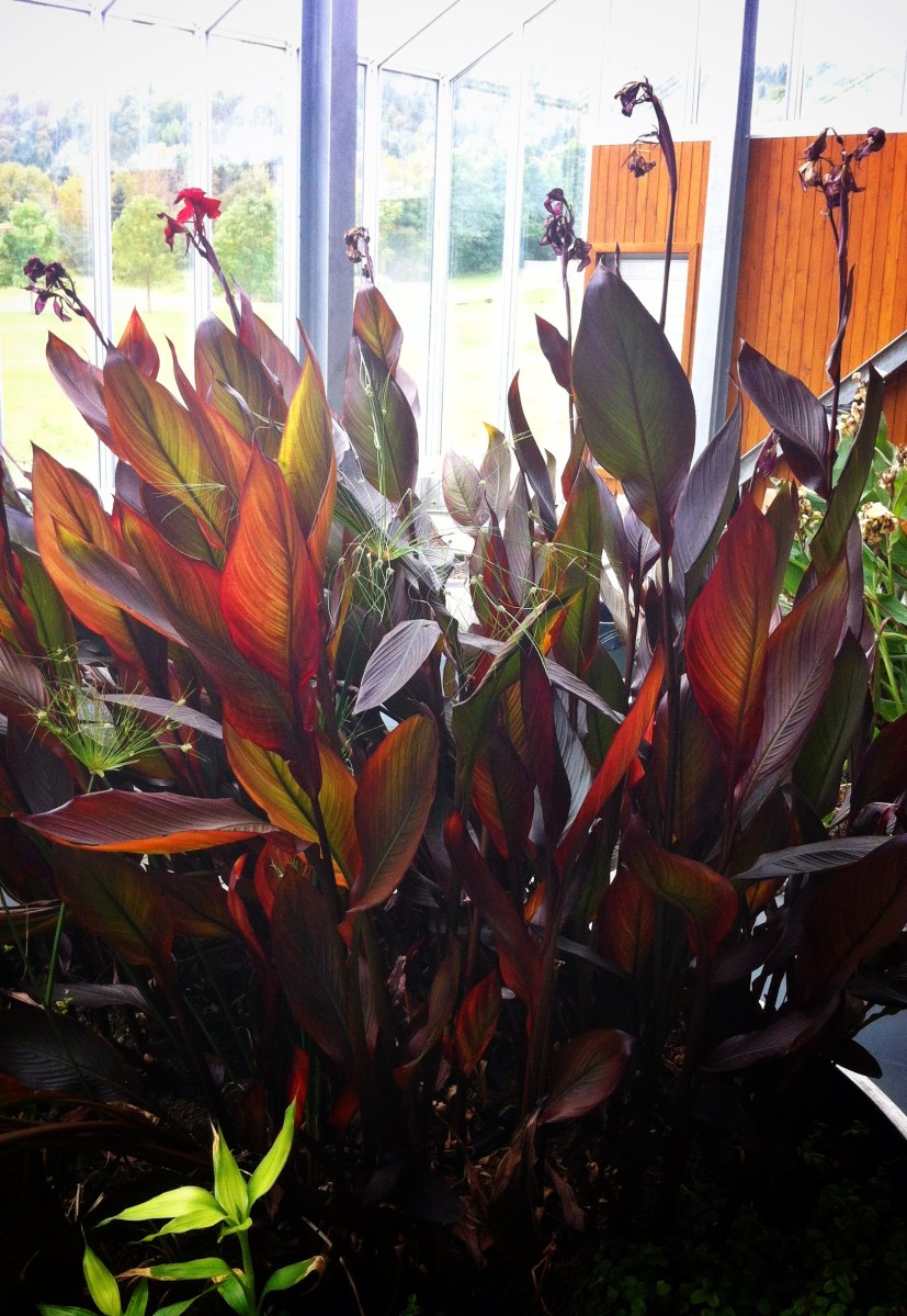 Une partie du système de filtration des eaux