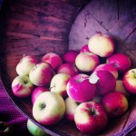 C'est le temps des pommes