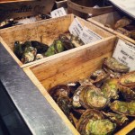 Bacs d'huîtres variées chez JEF