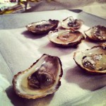 Huîtres sur plage de sel