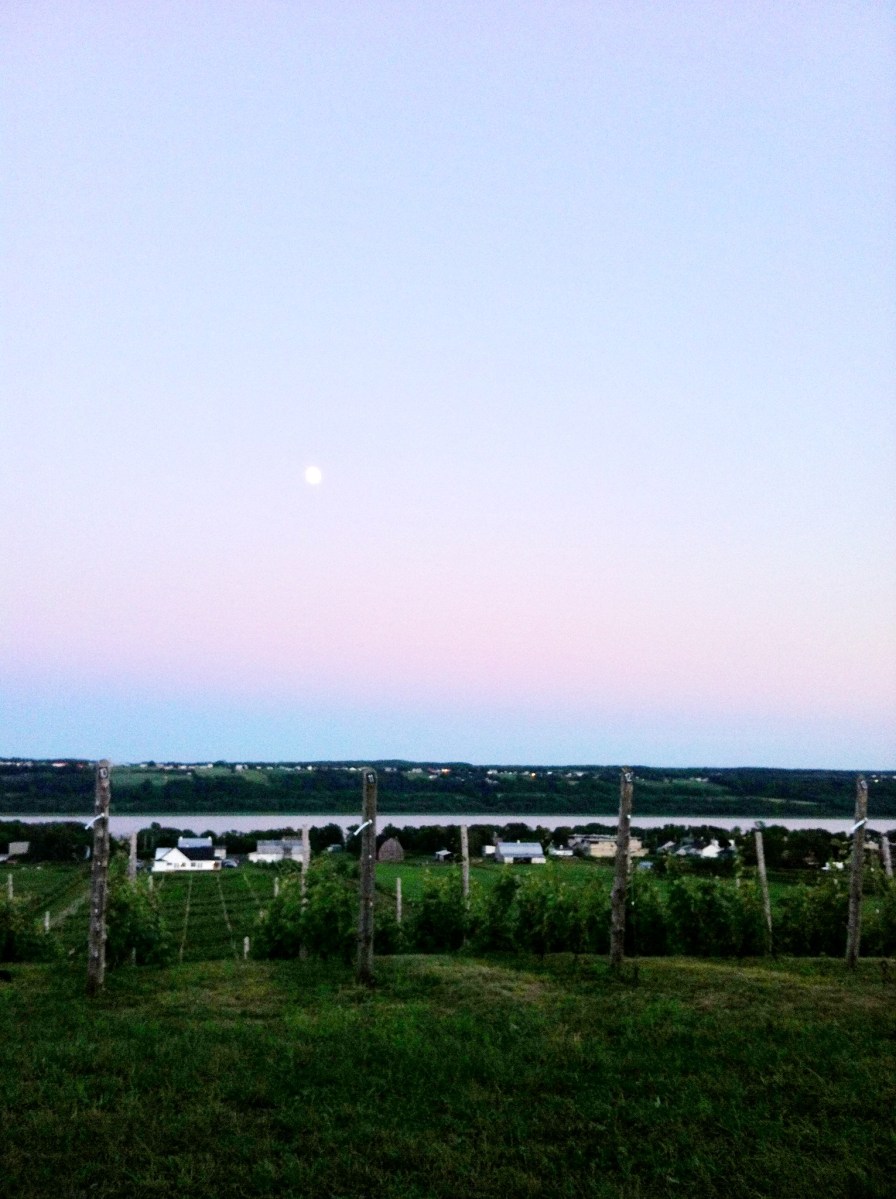 Un magnifique coucher de soleil... avec lune en prime!