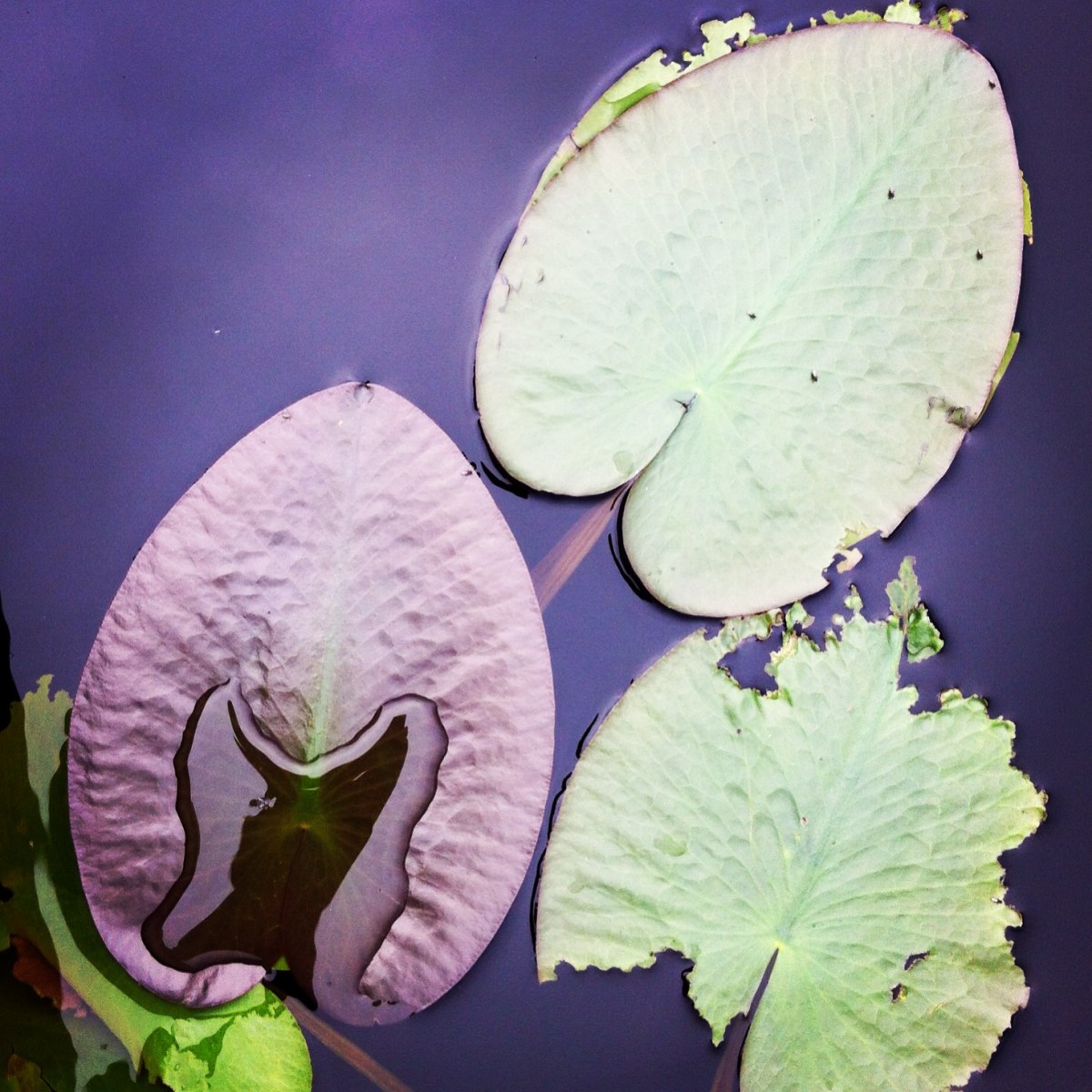 Pêche en famille à St-Aimé-des-Lacs