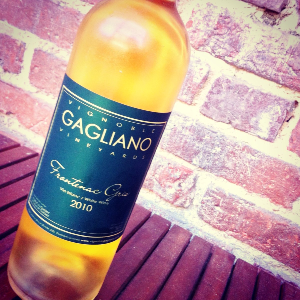 Le Frontenac gris du vignoble Gagliano