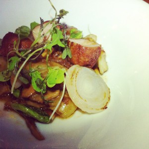 Les animelles - osez!