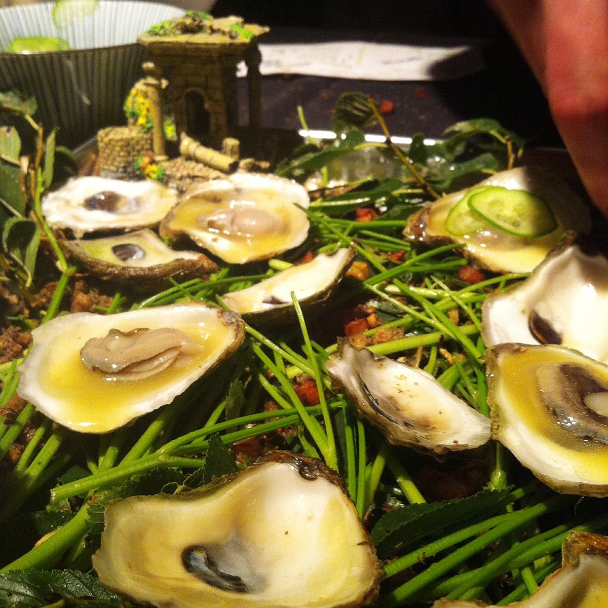 Beaucoup d'huîtres...