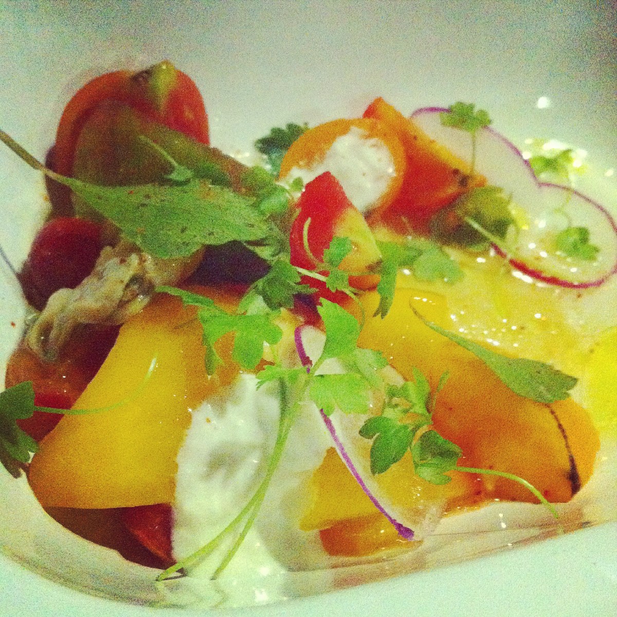 Tomates, coquillages (palourdes), céleri – façon Clamato