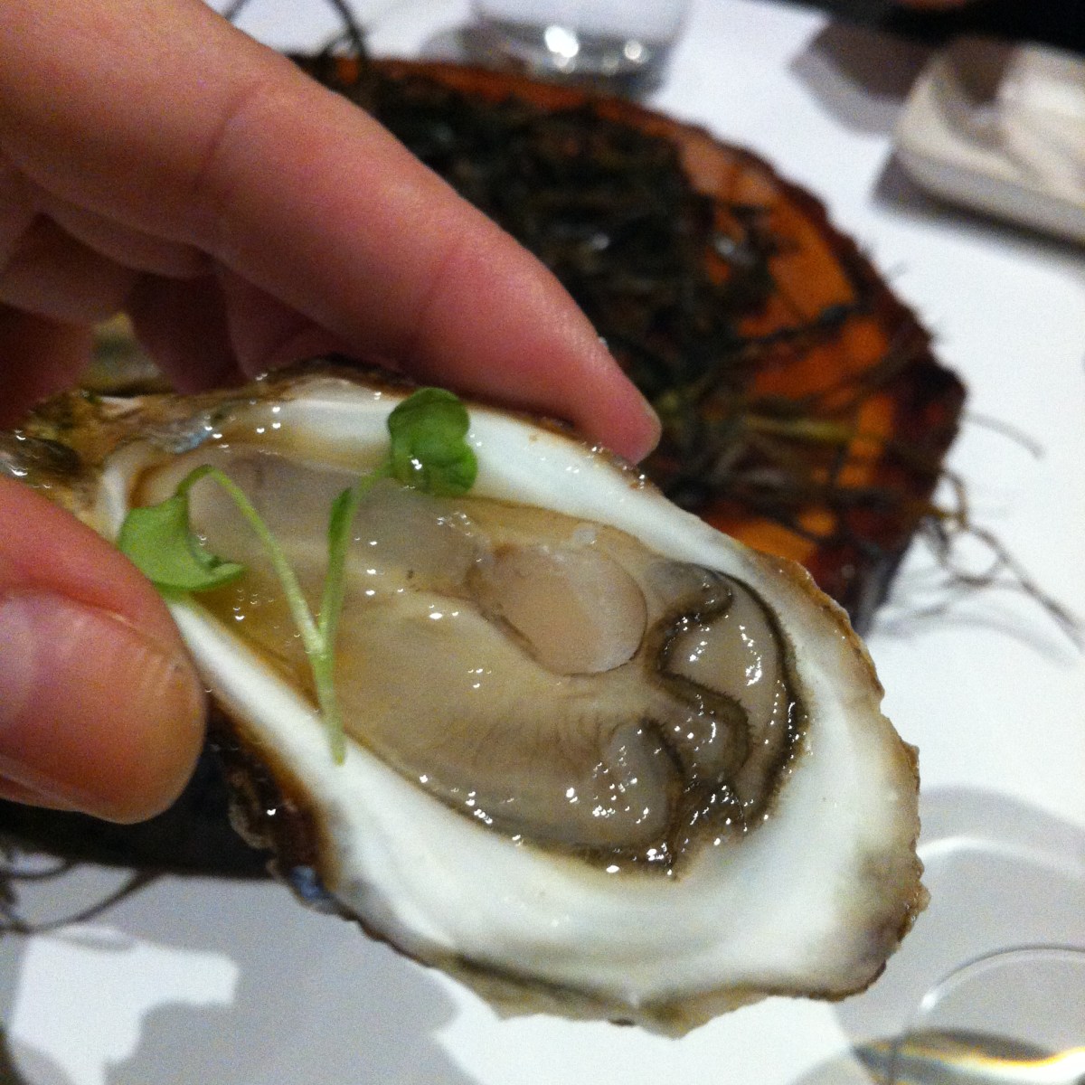 Moi, j'adore les huîtres!