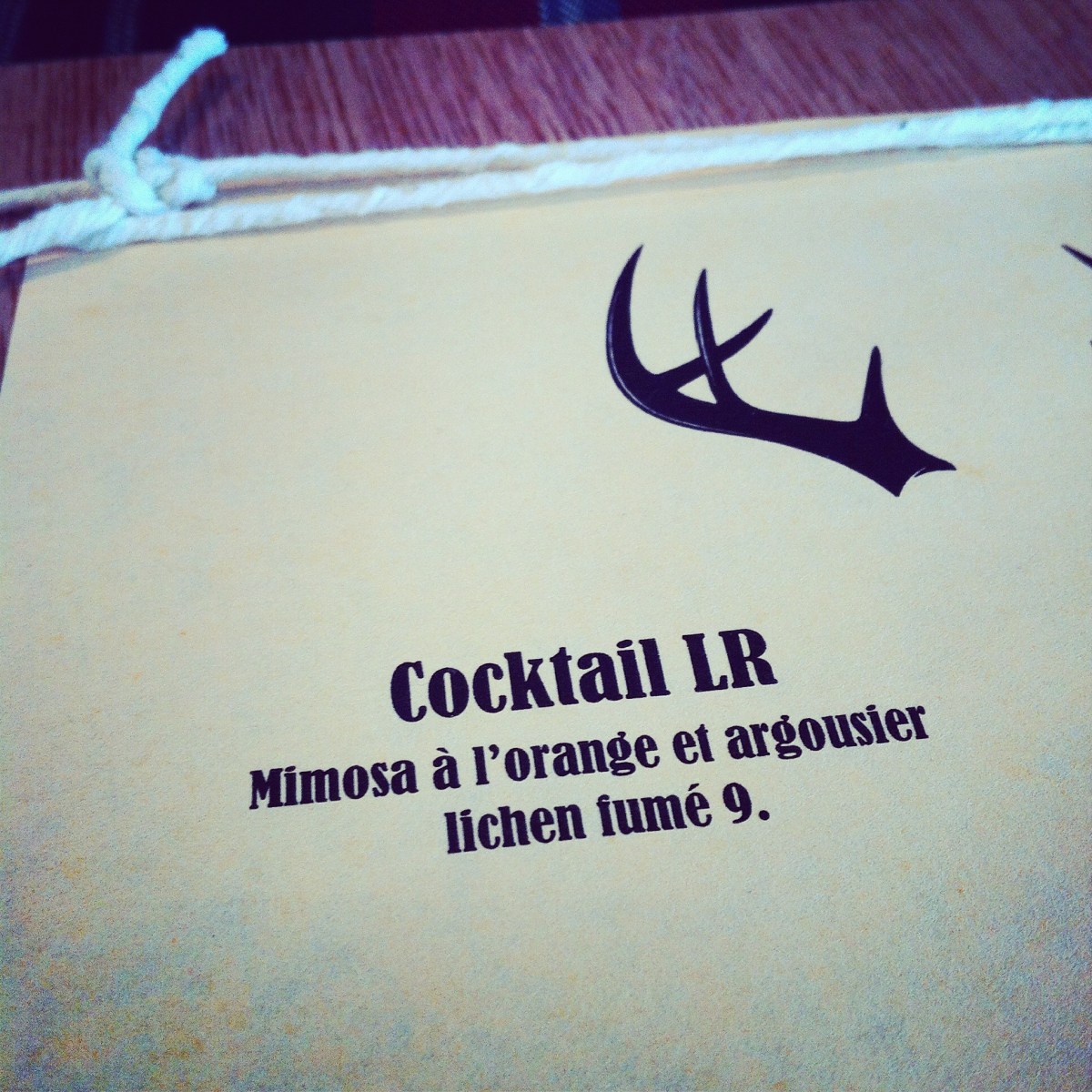 Mimosa à l'argousier avec lichen fumé