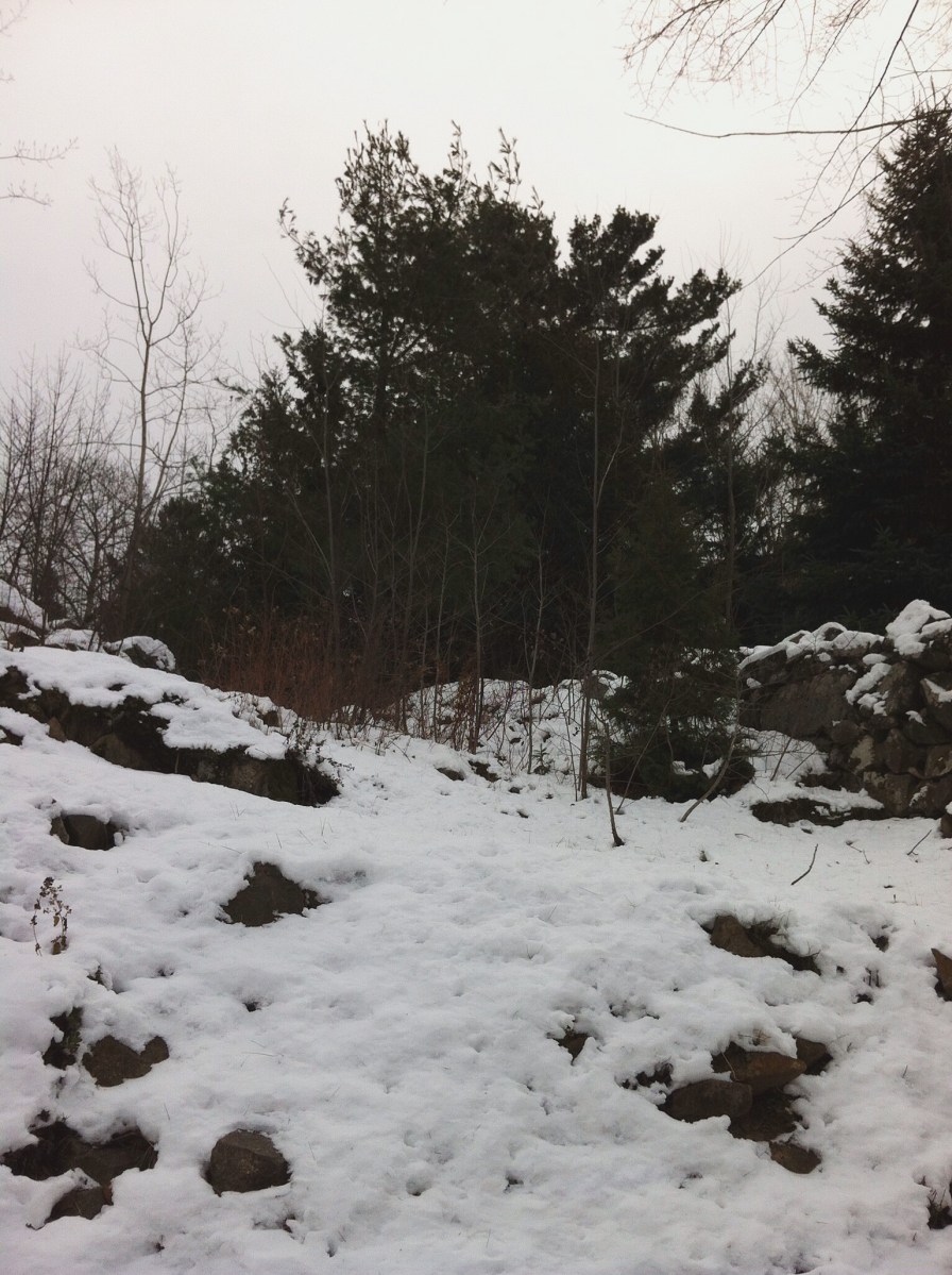 On profite des sentiers pour marcher