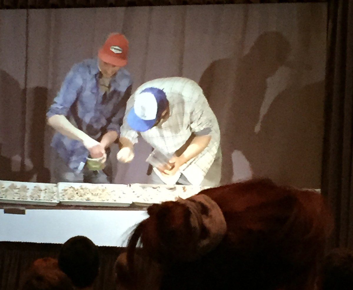 Émile et Louis travaillent à la chaîne