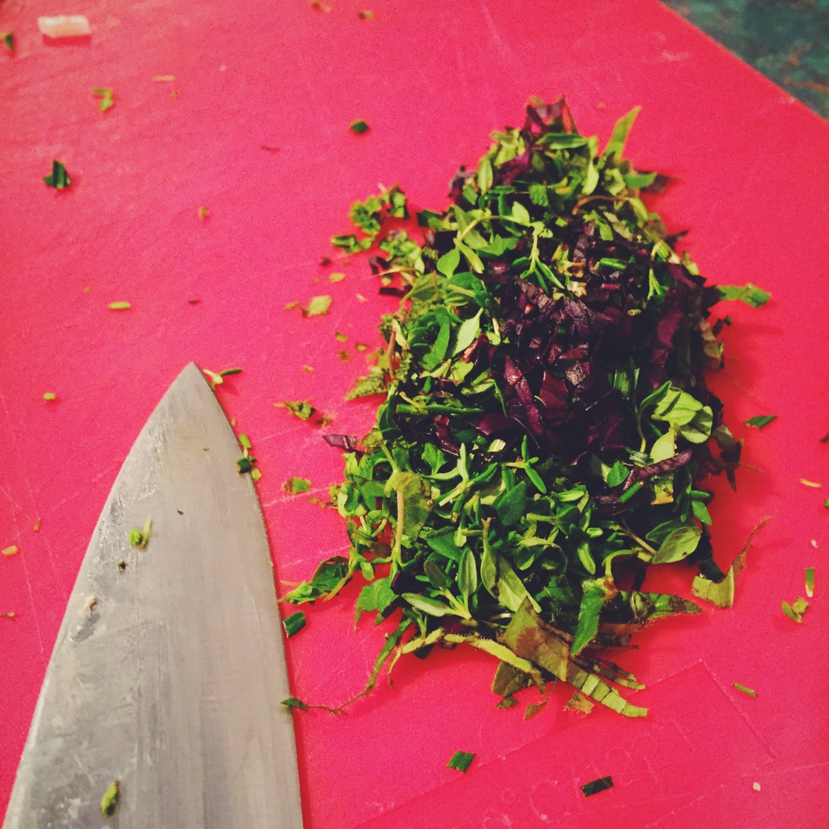 Parfait pour passer le surplus de fines herbes