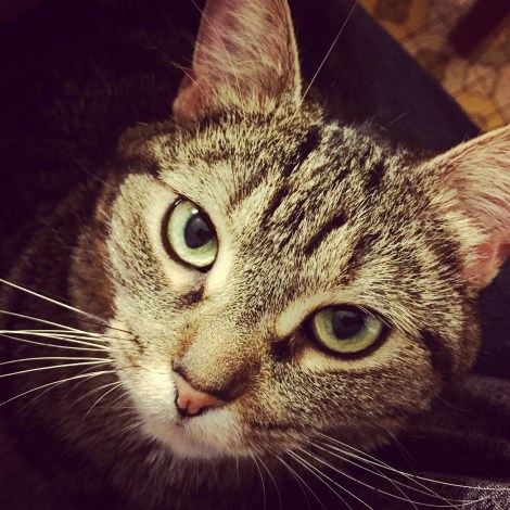 Violette qui nous accompagne sagement.