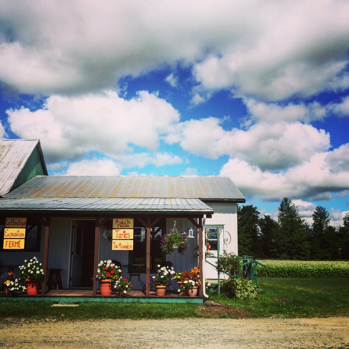 Un paysage bucolique