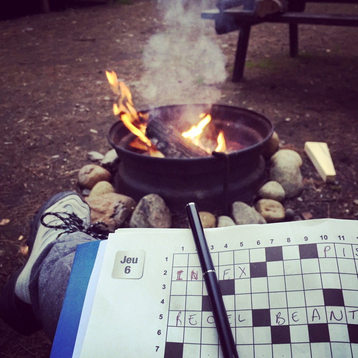 Mots croisés au coin du feu