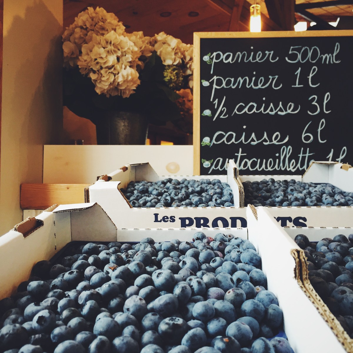 Bleuets à profusion