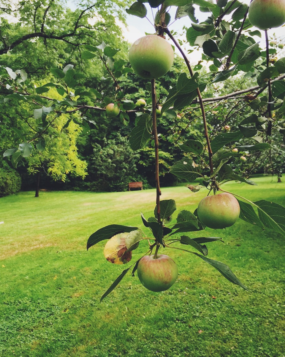 Le site est un paradis pour les passionnés d'horticulture