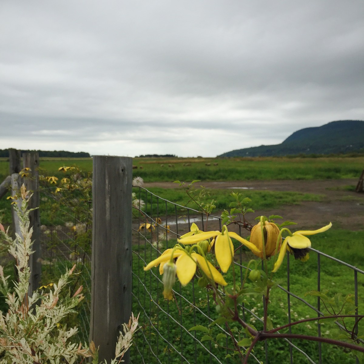 C'est beau, partout où on regarde
