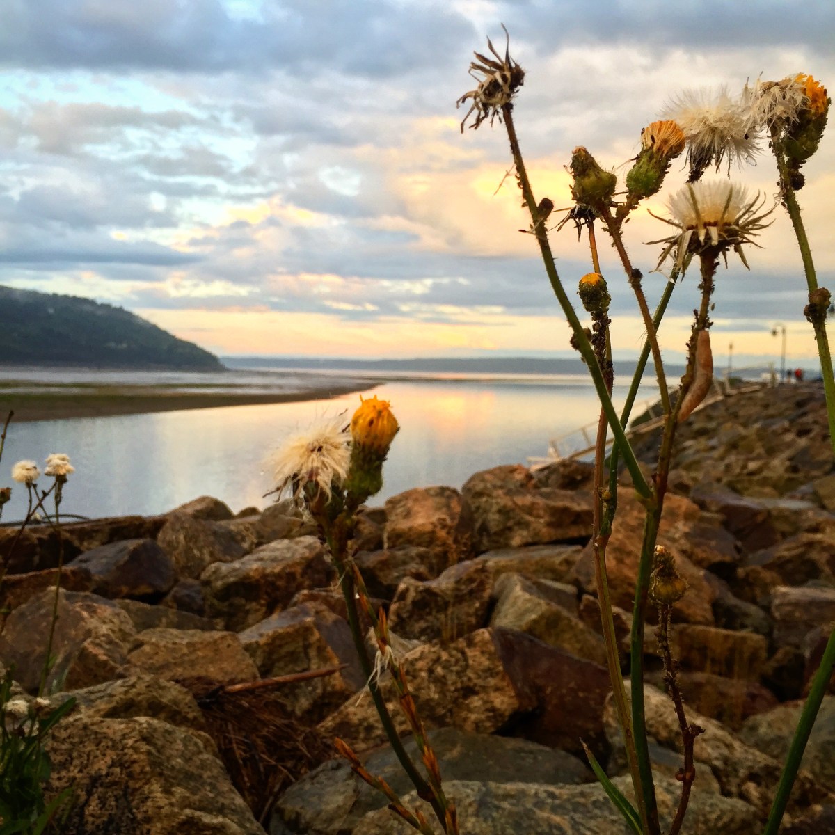 Tous les points de vue sont beaux