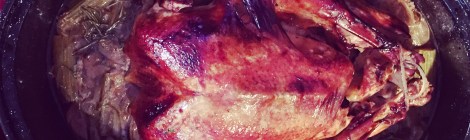 Dindon Cuire congelé laqué au miel