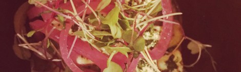 Salade de concombres libanais, pickles d'oignon rouge, feta et menthe fraîche