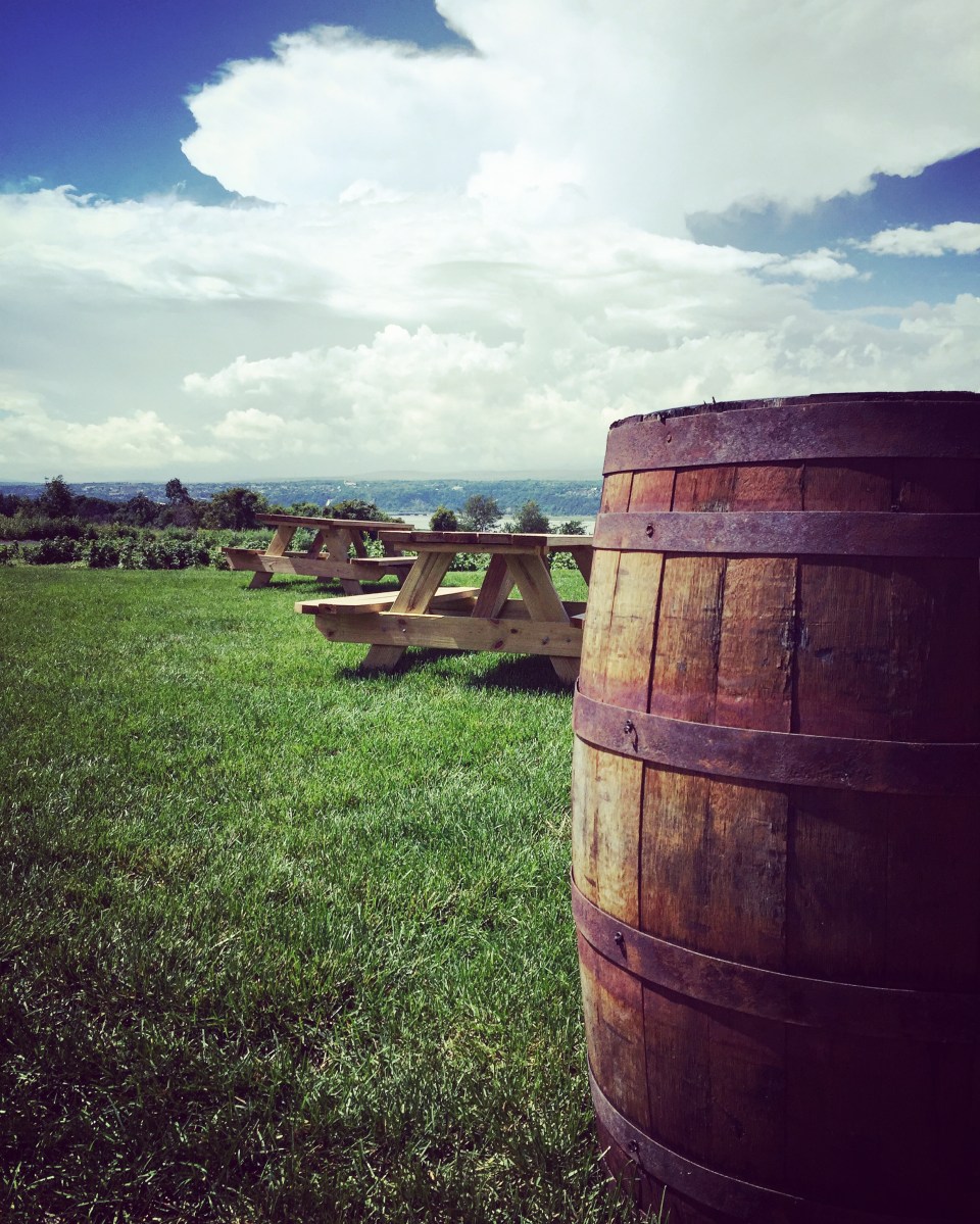 Avez-vous dit Pinterest?